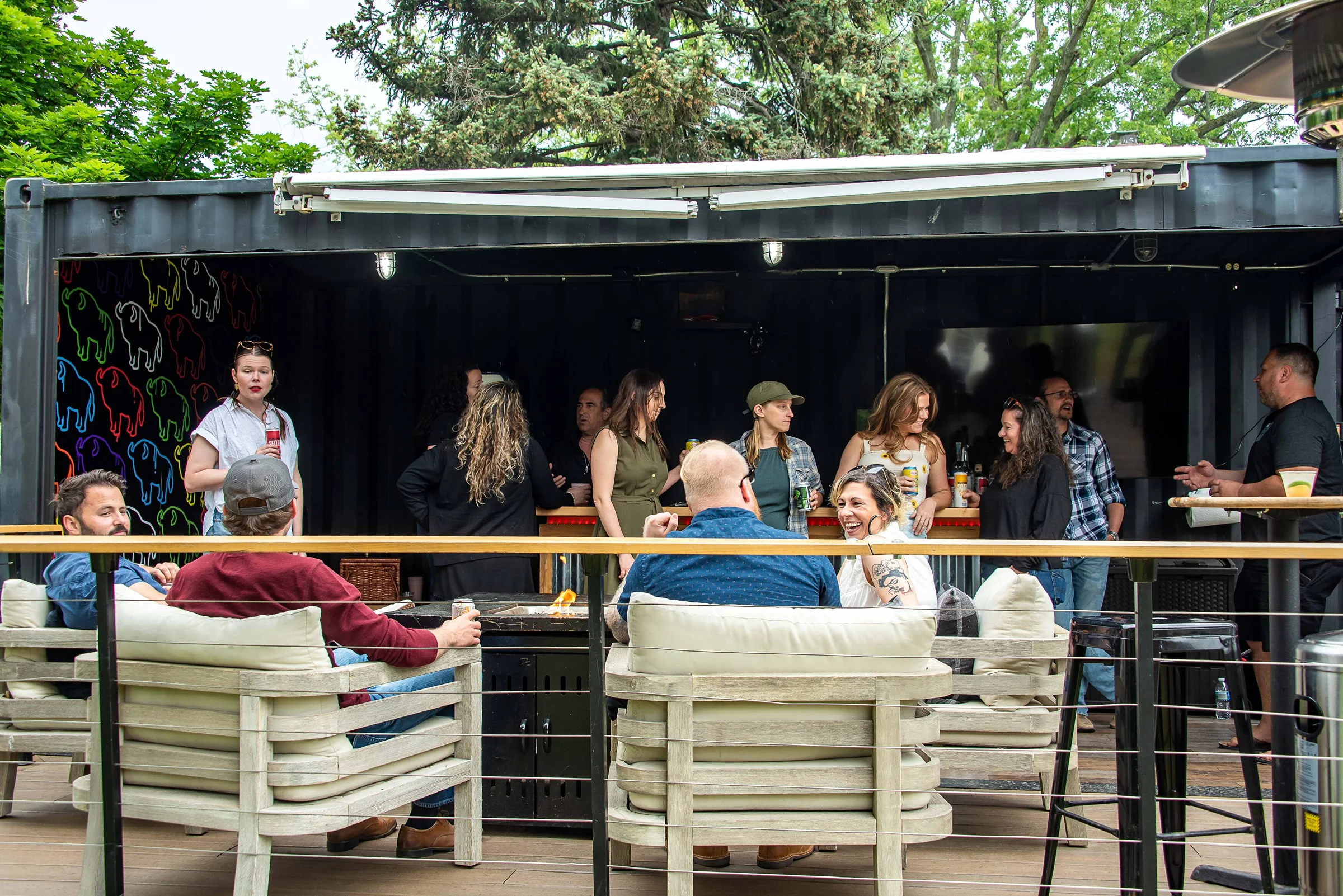 The Buffalo POD image